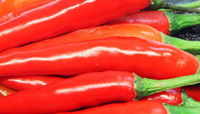 卡密代理批发的永久免费轰炸