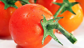 在线手机号压力测试